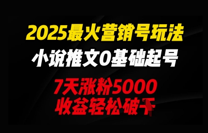 2025最火营销号玩法：小说推文0基础起号，7天涨粉5000，收益轻松破k|小鸡网赚博客