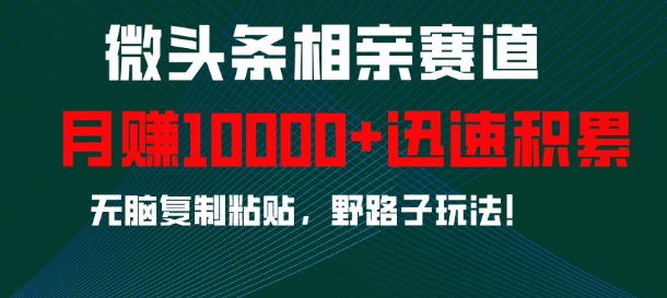 微头条相亲赛道，迅速积累，无脑复制粘贴，野路子玩法，月入1w|小鸡网赚博客