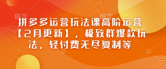 拼多多运营玩法课高阶运营【2月更新】，极致群爆款玩法，轻付费无尽复制等|小鸡网赚博客