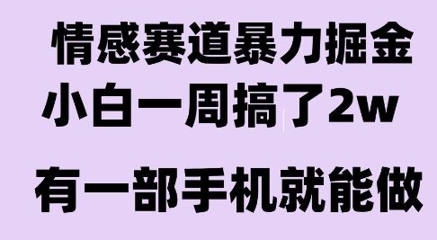 情感暴力掘金项目，新人操作一周挣了2W，长期稳定小白可做【揭秘】|小鸡网赚博客