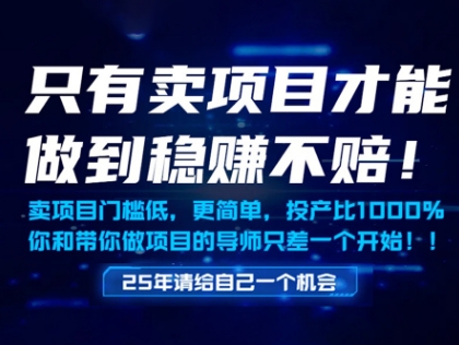 只有卖项目才能做到稳挣不赔，门槛低，更简单，你也可以年入百个W【揭秘】|小鸡网赚博客