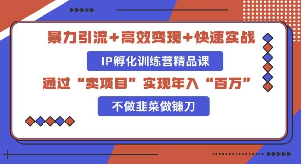 知识付费独家玩法：精准引流+高效变现，简单复制成功模式，最新IP共创导师训练营玩法|小鸡网赚博客