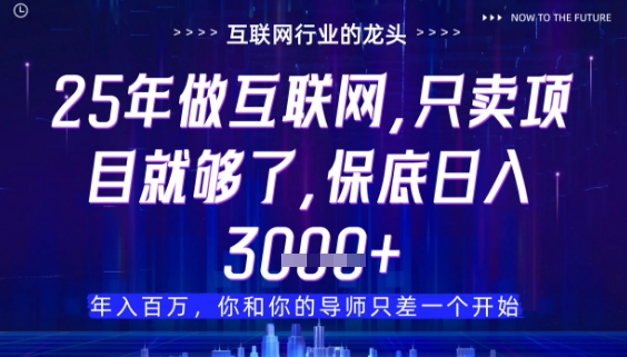 什么！25年你还在找项目做？风口早就变了，卖项目才是稳挣不赔【揭秘】|小鸡网赚博客