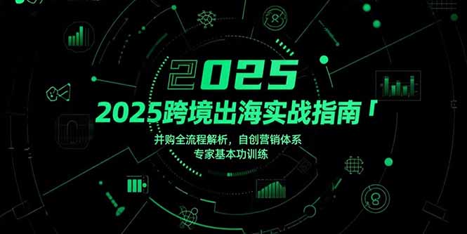 （15503期）2025跨境出海实战指南，并购全流程解析，自创营销体系，专家基本功训练|小鸡网赚博客