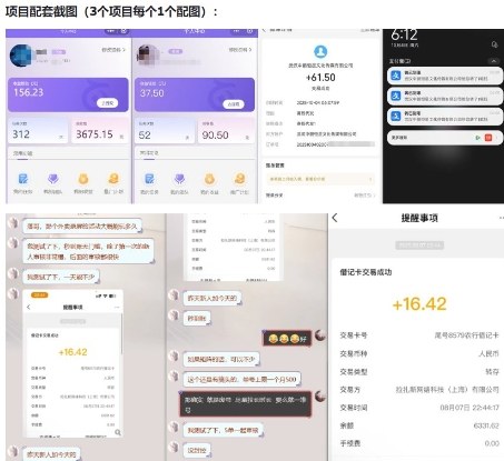 当天能收益的3个小项目拆解_包括平台+操作流程|小鸡网赚博客