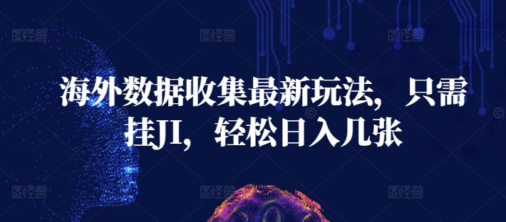 海外数据收集最新玩法，只需挂JI，轻松日入几张|小鸡网赚博客