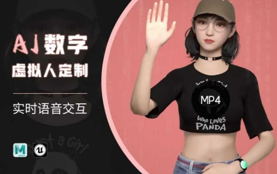 Ai数字人虚拟(智能体)实时语音交互特训营，​自行定制超写实角色AI数字人交互技术|小鸡网赚博客