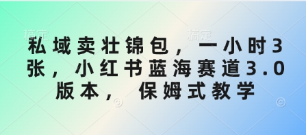 私域卖壮锦包，一小时3张，小红书蓝海赛道3.0版本， 保姆式教学|小鸡网赚博客