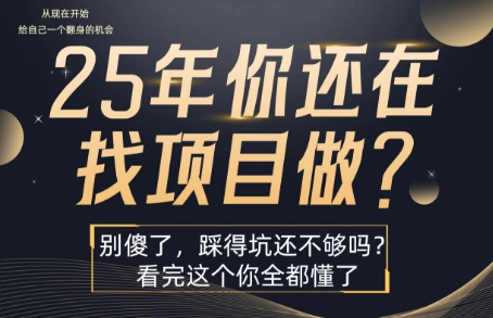 25年，你还在疯狂的找项目吗？别傻了，看完这个你都懂了【揭秘】|小鸡网赚博客