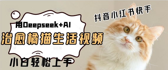 疯狂火爆，用Deepseek+AI做治愈橘猫系列视频，小白轻松制作+快速拿到结果|小鸡网赚博客