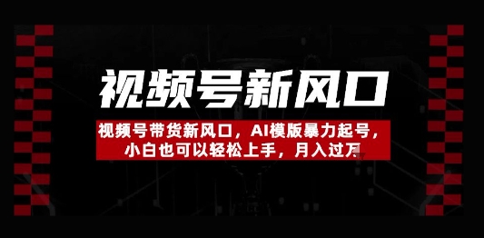 视频号带货新风口，AI模版暴力起号，小白也可以轻松上手，月入过W|小鸡网赚博客