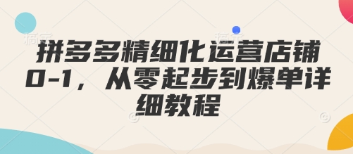 拼多多精细化运营店铺0-1，从零起步到爆单详细教程|小鸡网赚博客
