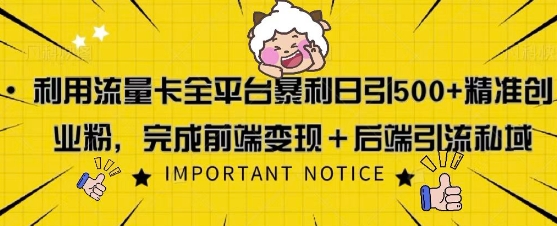 利用流量卡全平台暴利日引500+精准创业粉|小鸡网赚博客
