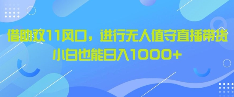 借助双11风口，进行无人值守直播带货，小白也能日入1k|小鸡网赚博客