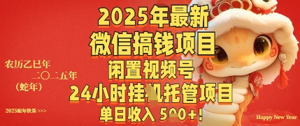 2025年最新微信搞钱项目，闲置视频号年24小时挂G托管项目，单日收入多张|小鸡网赚博客