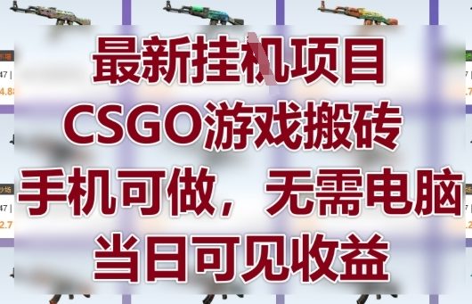 最新挂G项目，CSGO游戏搬砖，手机可做，无需电脑，当日见收益【揭秘】|小鸡网赚博客