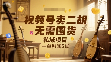 视频号卖二胡，无需囤货，私域项目，一单利润5张|小鸡网赚博客