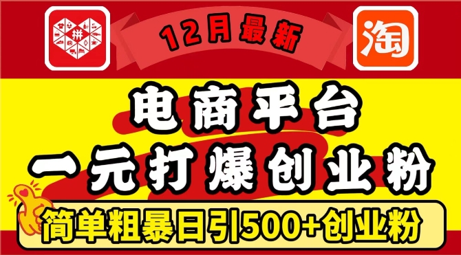 12月最新：电商平台1元打爆创业粉，简单粗暴日引500+精准创业粉，轻松月入过W【揭秘】|小鸡网赚博客