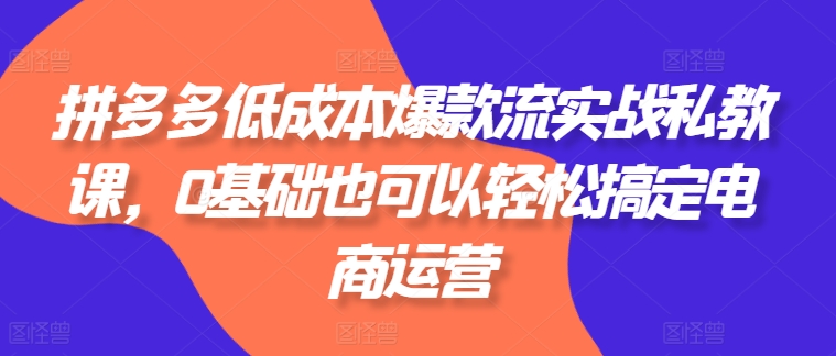 拼多多低成本爆款流实战私教课，0基础也可以轻松搞定电商运营|小鸡网赚博客