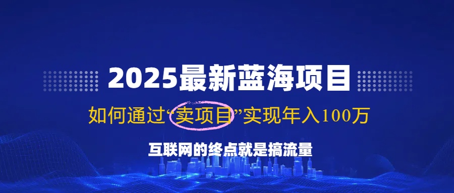 （14305期）2025最新蓝海项目，零门槛轻松复制，月入10万+，新手也能操作！|小鸡网赚博客