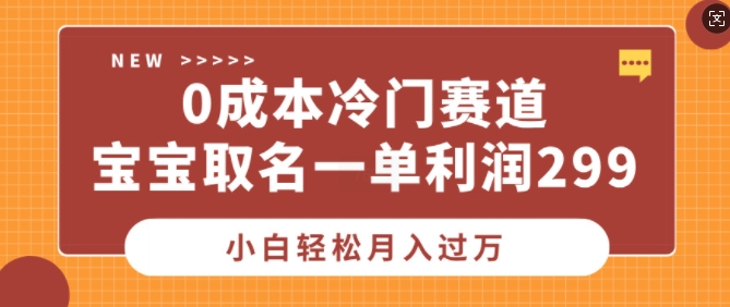 0成本冷门赛道，宝宝取名一单利润299，小白轻松月入过万|小鸡网赚博客