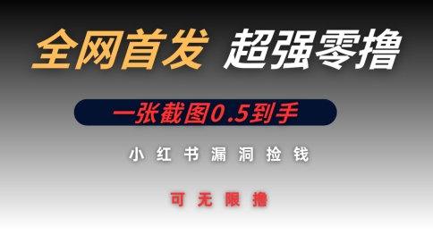 全网首发无限零撸捡钱项目，小红书一张截图0.5元可无限零撸|小鸡网赚博客