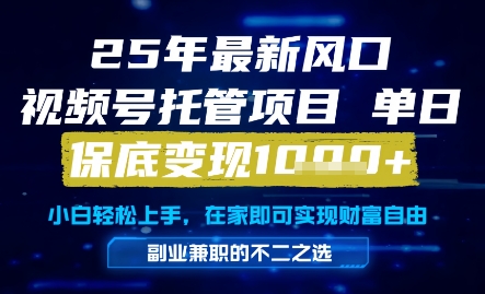 25年最新风口，视频号托管项目，单日保底变现1k+，手把手教学【揭秘】|小鸡网赚博客