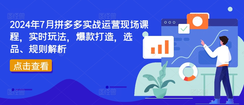 2024年7月拼多多实战运营现场课程，实时玩法，爆款打造，选品、规则解析|小鸡网赚博客