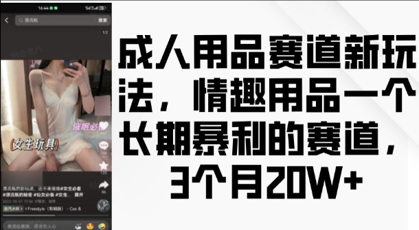 成人用品赛道新玩法，情趣用品一个长期暴利的赛道，3个月收益20个【揭秘】|小鸡网赚博客