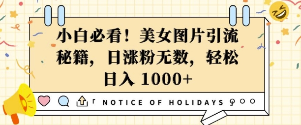 小白必看，美女图片引流秘籍，日涨粉无数，轻松日入几张【揭秘】|小鸡网赚博客