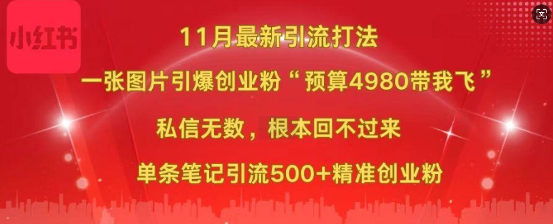 小红书11月最新图片打粉，一张图片引爆创业粉，“预算4980带我飞”，单条引流500+精准创业粉|小鸡网赚博客