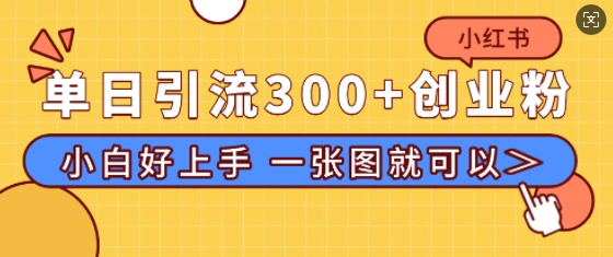 小红书单日引流300+创业粉，“简单粗暴”引流法，小白好上手，私信回不完|小鸡网赚博客