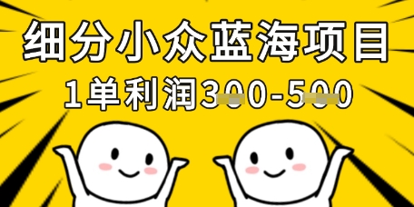 细分小众蓝海项目，一单利润3张，每月收入稳定过1w+|小鸡网赚博客