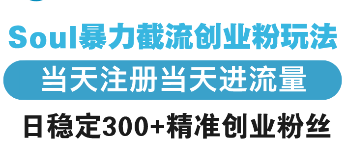 （13935期）Soul暴力截流创业粉玩法，当天注册当天进流量，日稳定300+精准创业粉丝|小鸡网赚博客