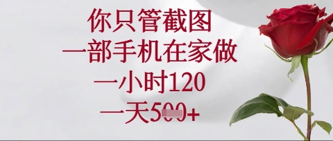 你只管截图，一部手机在家操作，一小时120.一天5张【揭秘】|小鸡网赚博客