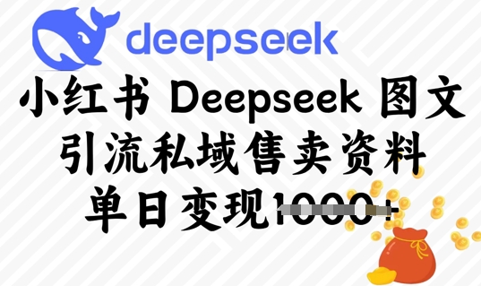 小红书Deepseek 图文引流私域售卖资料，单日变现多张|小鸡网赚博客