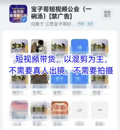 宝子哥头部团队短视频带货，以混剪为主，不需要真人出镜，不需要拍摄|小鸡网赚博客
