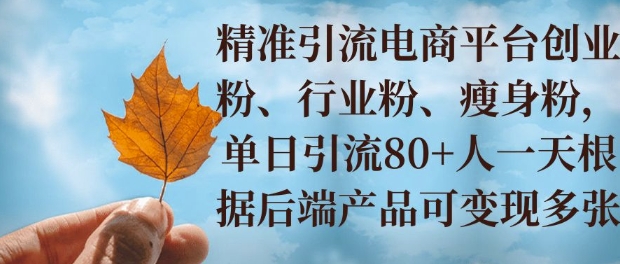 小投资撬动大收益，精准引流创业粉、行业粉，单日引流80+，一天可变现多张|小鸡网赚博客